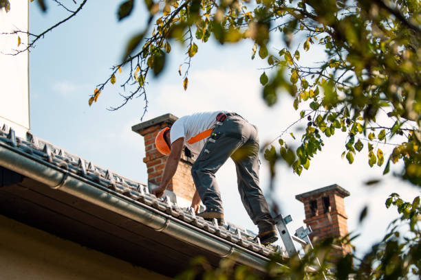 Best Roof Replacement Cost  in Mckenzie, TN