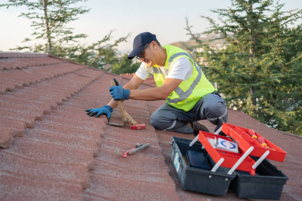 Best Storm Damage Roof Repair  in Mckenzie, TN