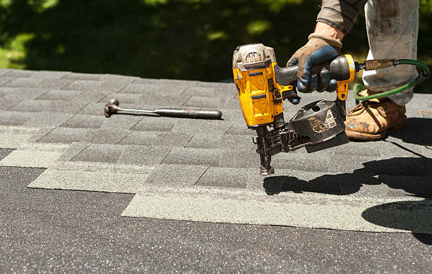 Best Roof Repair Services  in Mckenzie, TN