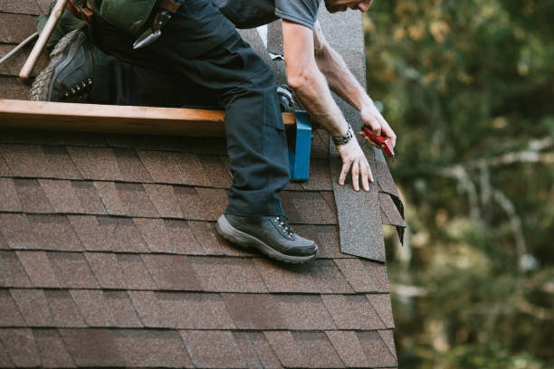 Best Roof Gutter Cleaning  in Mckenzie, TN