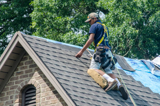 Best Commercial Roofing Services  in Mckenzie, TN